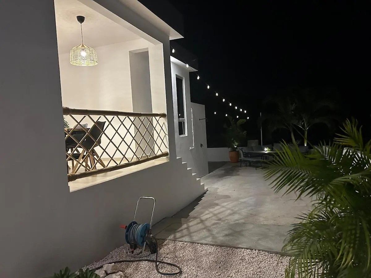 The Luxury Flamingo Villa Willemstad