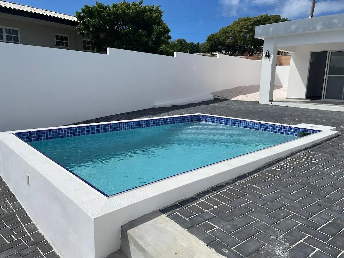 The Luxury Flamingo Villa Willemstad